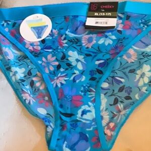 XL 15 17 5/$15 BANDED HI CUT CHEEKY PANTY NEW